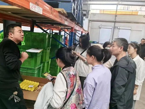 上海學生午餐蝦仁炒蛋引食品安全風波，監(jiān)管部門介入調(diào)查