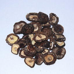 廠家直銷(xiāo)，正宗慶元小香菇 食用菌干貨批發(fā)新選擇